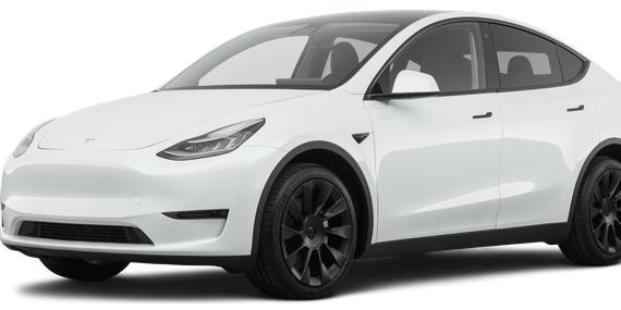 TESLA MODEL Y 2021 5YJYGDEE9MF067021 image